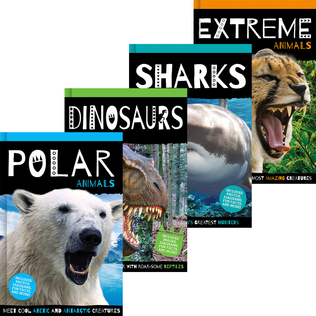  Animal Reader 4-Pack 