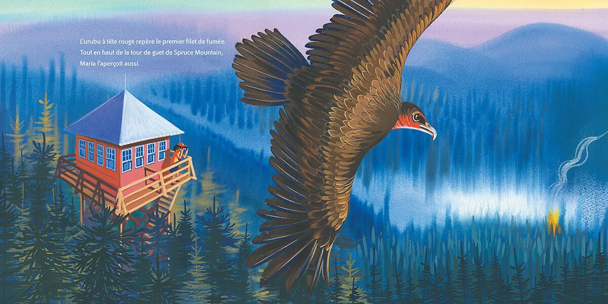 Thumbnail 2 Feux de for&ecirc;t! 