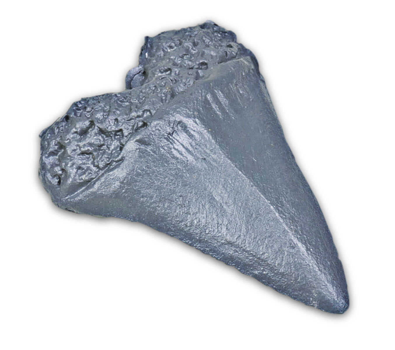 Thumbnail 2 Sharks!: Facts, Games, and Challenges 