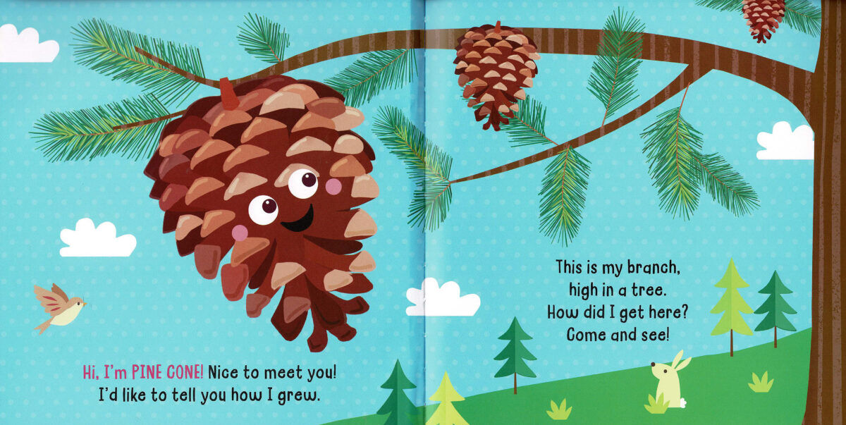 Thumbnail 2 Hello! My Name is... Pine Cone 