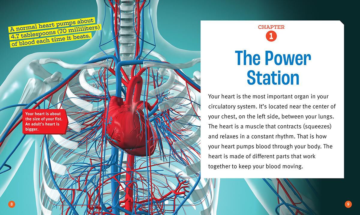 Thumbnail 3 A True Book: Your Amazing Body Value Pack 