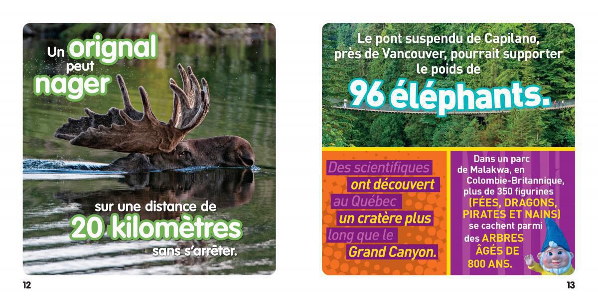Thumbnail 3National Geographic Kids : Bizarre mais vrai! Le Canada