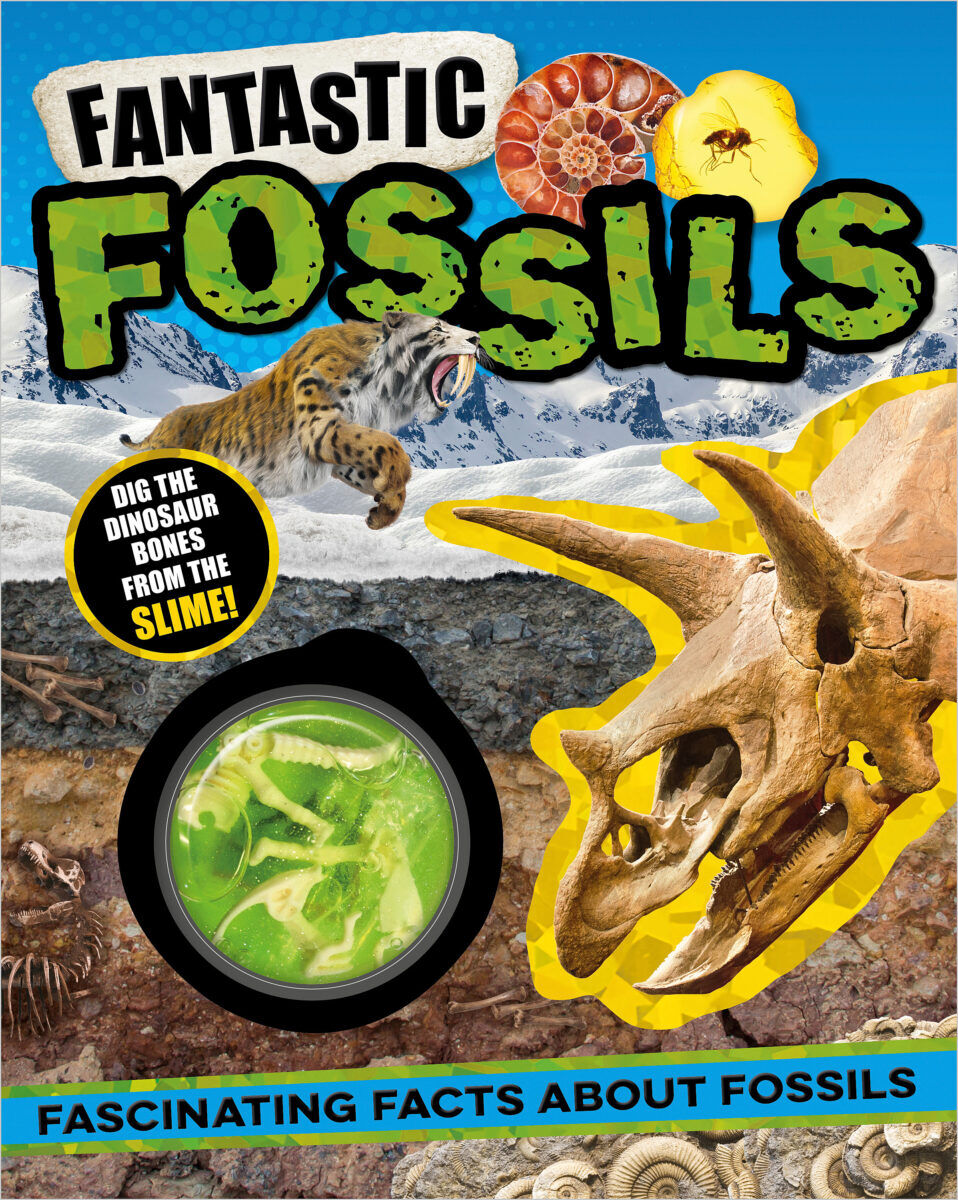  Fantastic Fossils 