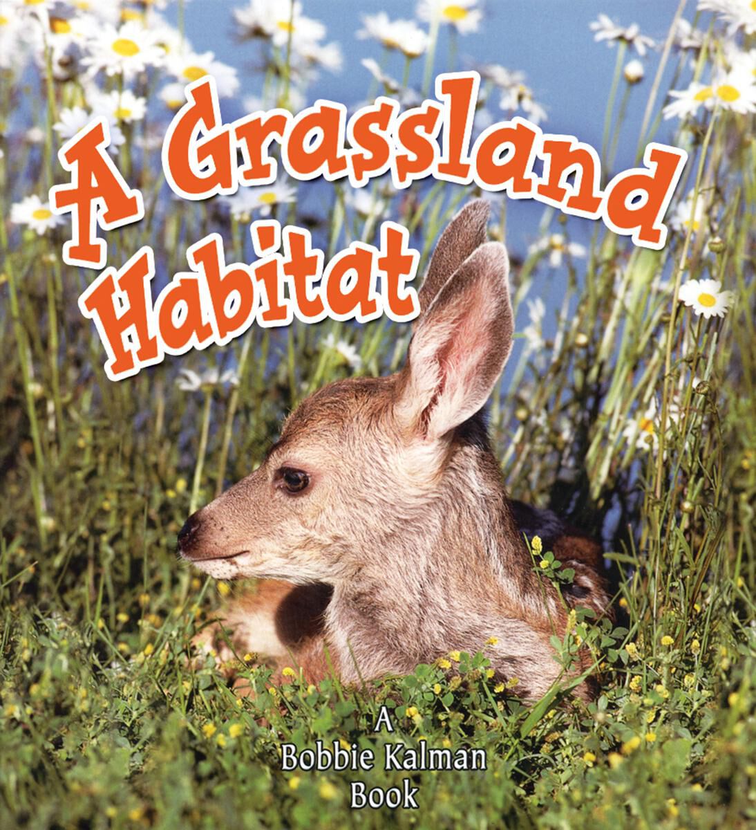 Thumbnail 10 Introducing Habitats 4-Pack 