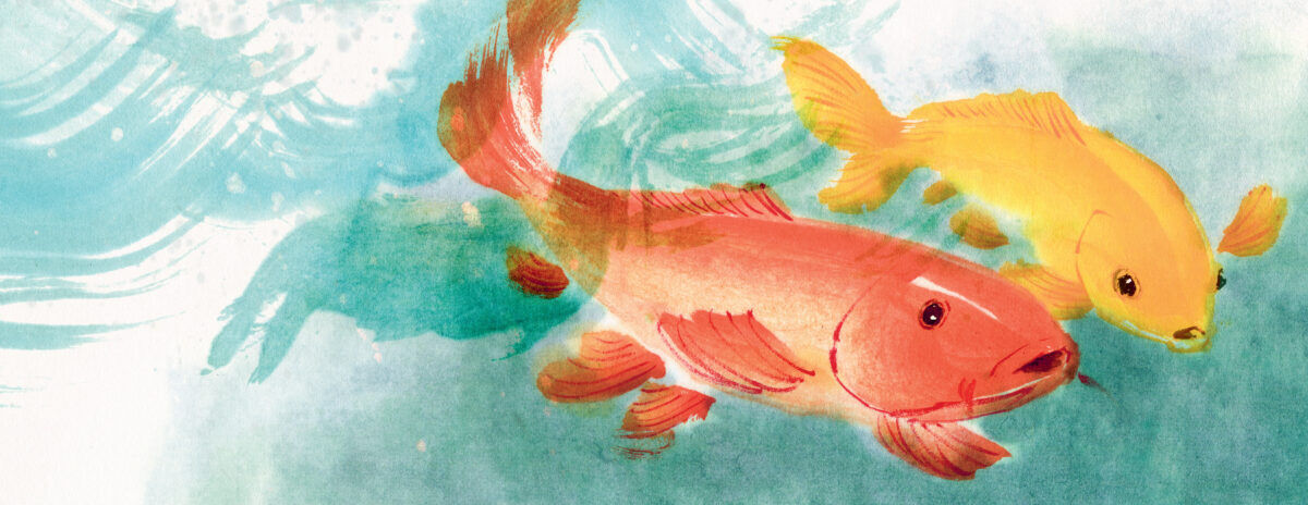 Thumbnail 4Goodbye, Koi