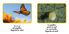 Thumbnail 12 National Geographic Kids : Ensemble de Lecture 2