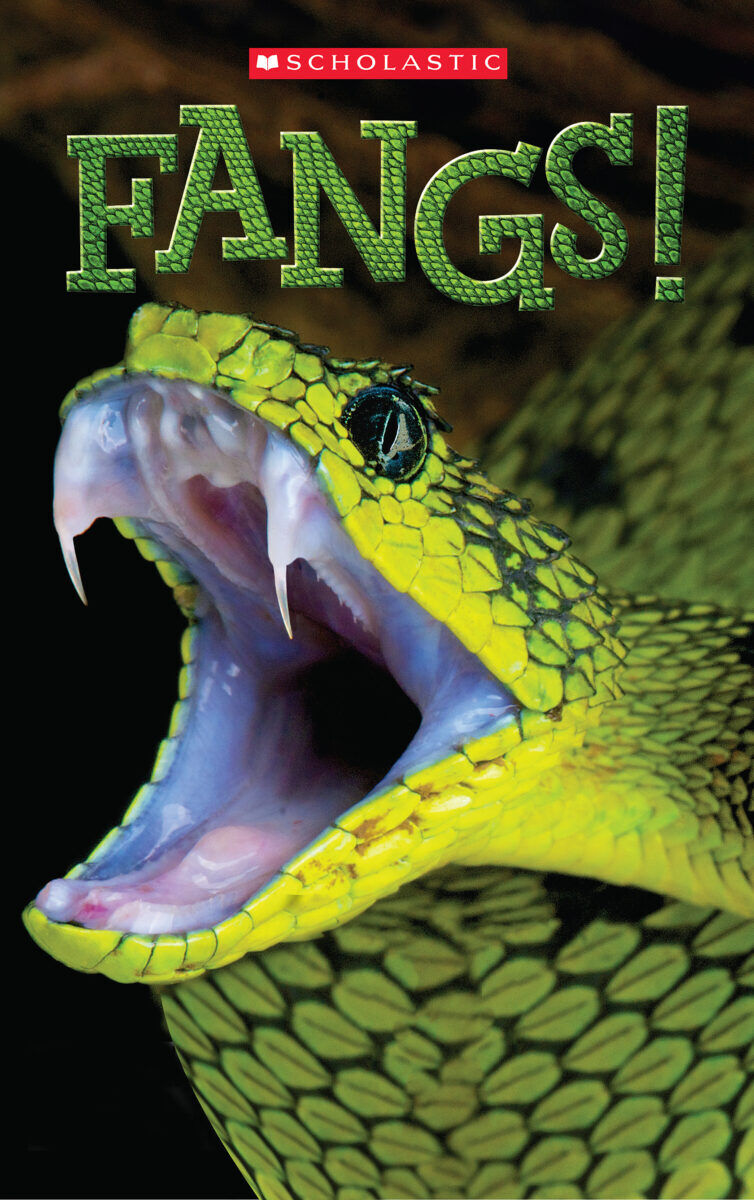 Thumbnail 3 Predator Tangerine Readers 5-Pack 