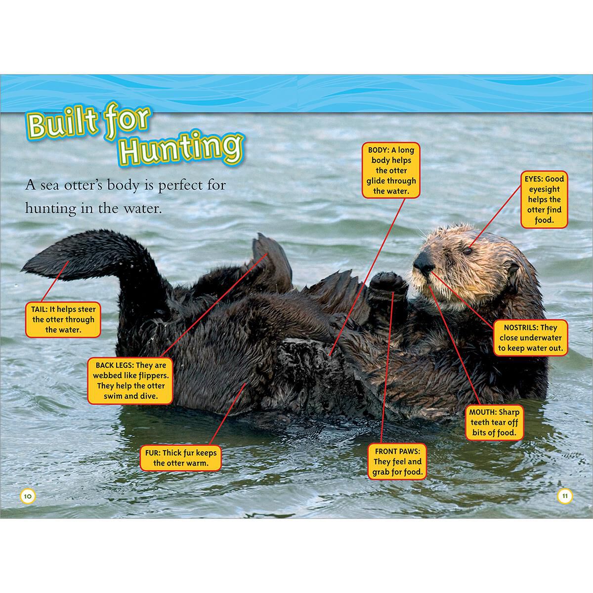 Thumbnail 2 National Geographic Reader LVL1: Sea Otters 