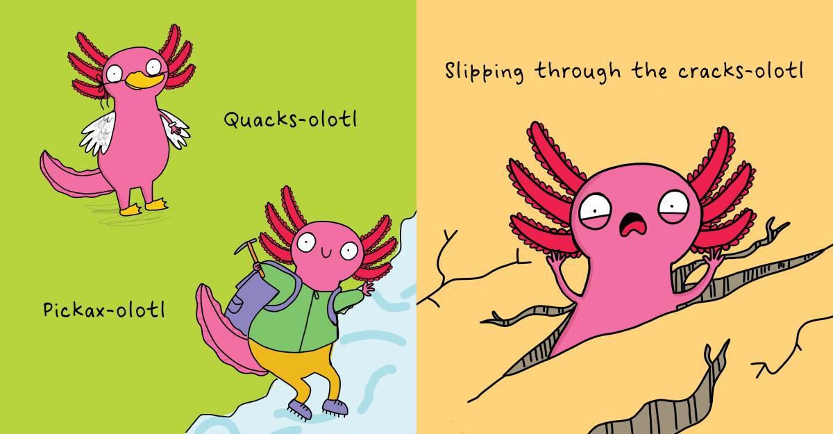 Thumbnail 4 No One Really Knows an Axolotl 