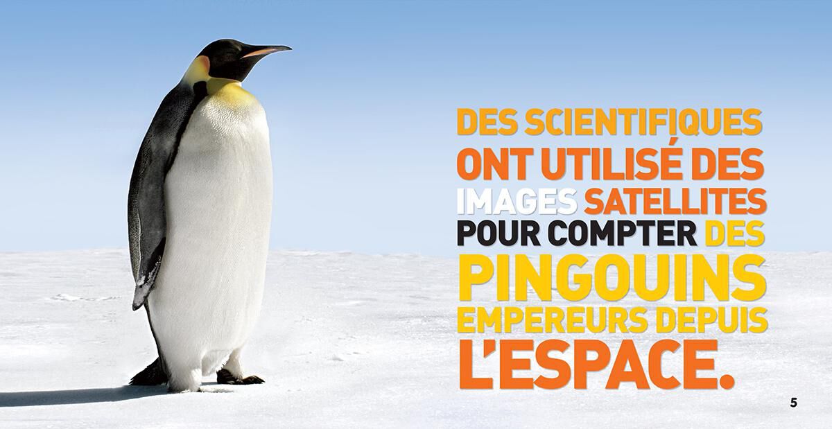 Thumbnail 2National Geographic Kids : Bizarre mais vrai! 6