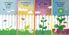Thumbnail 5 Little Earth Science 4-Pack 