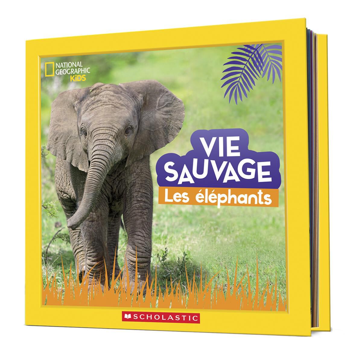  National Geographic Kids : Vie sauvage : Les &eacute;l&eacute;phants 