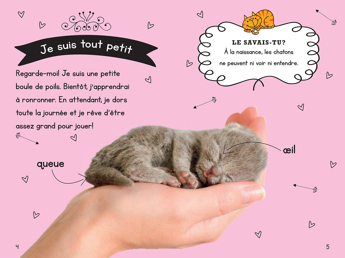 Thumbnail 2Ma collection d'animaux : Petits chatons