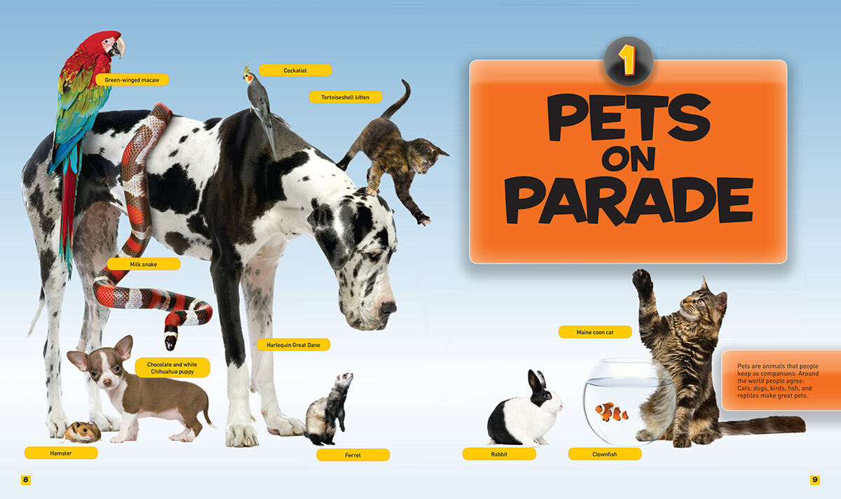Thumbnail 3National Geographic Kids&trade;: Everything Pets