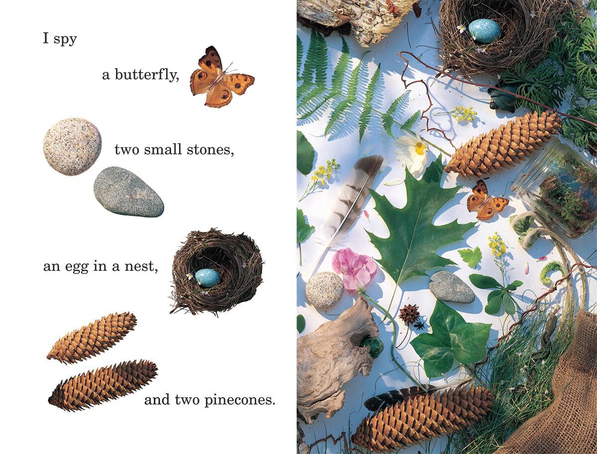 Thumbnail 9 I Spy Spring Reader 4-Pack 