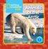 Thumbnail 20 National Geographic Kids: Guided Reading 18-Pack (A-F) 
