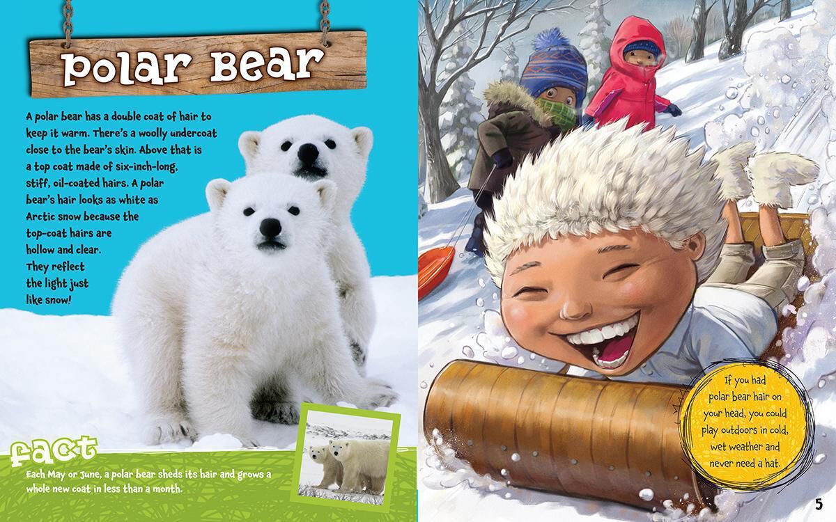 Thumbnail 3 What If You Had...!? 6-Pack 