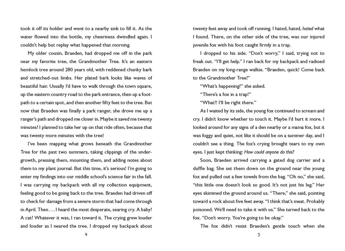 Thumbnail 4 Outfoxed 