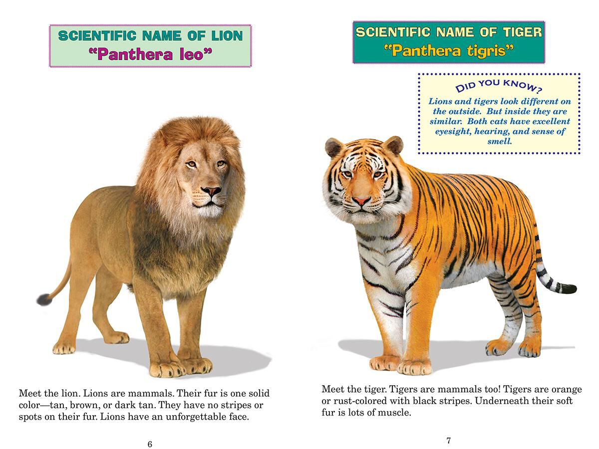 Thumbnail 2 Who Would Win?: Monstrous Mammals 