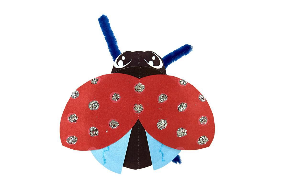 Thumbnail 8 Beautiful Bugs 