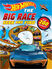 Thumbnail 1 Hot Wheels: The Big Race Seek and Find 