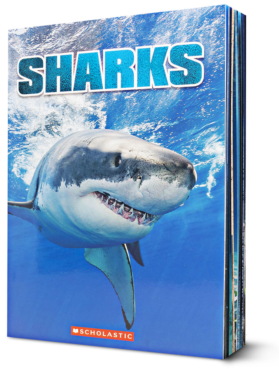 Thumbnail 2Ultimate Shark Collection
