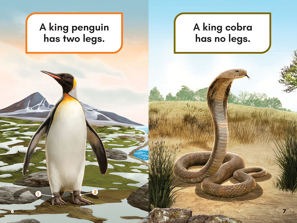 Thumbnail 3What Would You Rather Be? A King Penguin or a King Cobra
