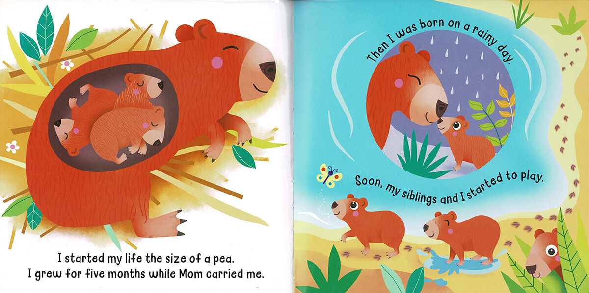 Thumbnail 3 Hello! My Name is... Capybara 