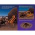Thumbnail 4 Who Would Win?® Tarantula vs. Scorpion 