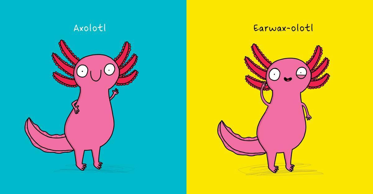 Thumbnail 2 No One Really Knows an Axolotl 