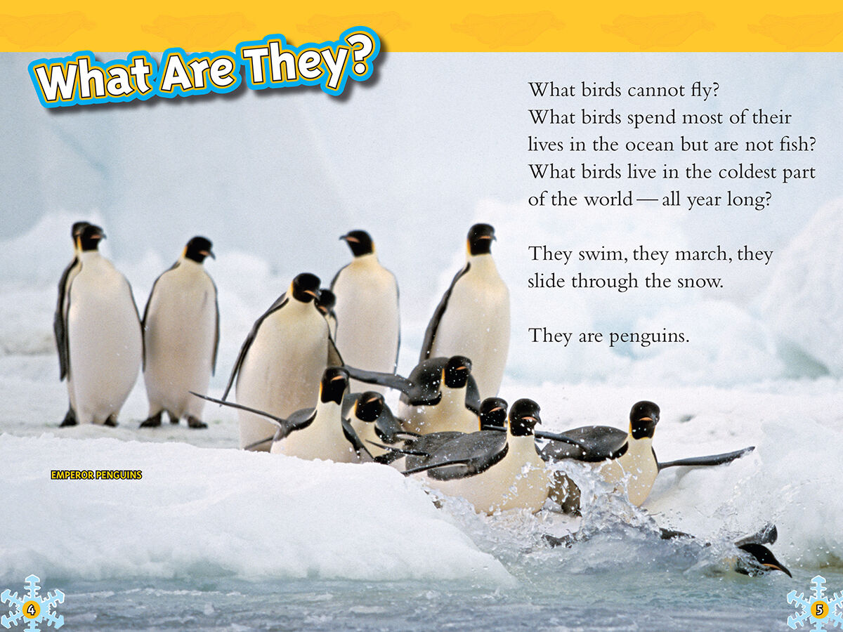 Thumbnail 3National Geographic Kids: Cute Trendy Animal 5 Pack