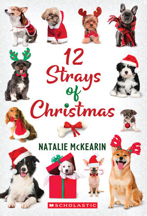 12 Strays of Christmas   12 Strays of Christmas