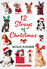 Thumbnail 1 12 Strays of Christmas