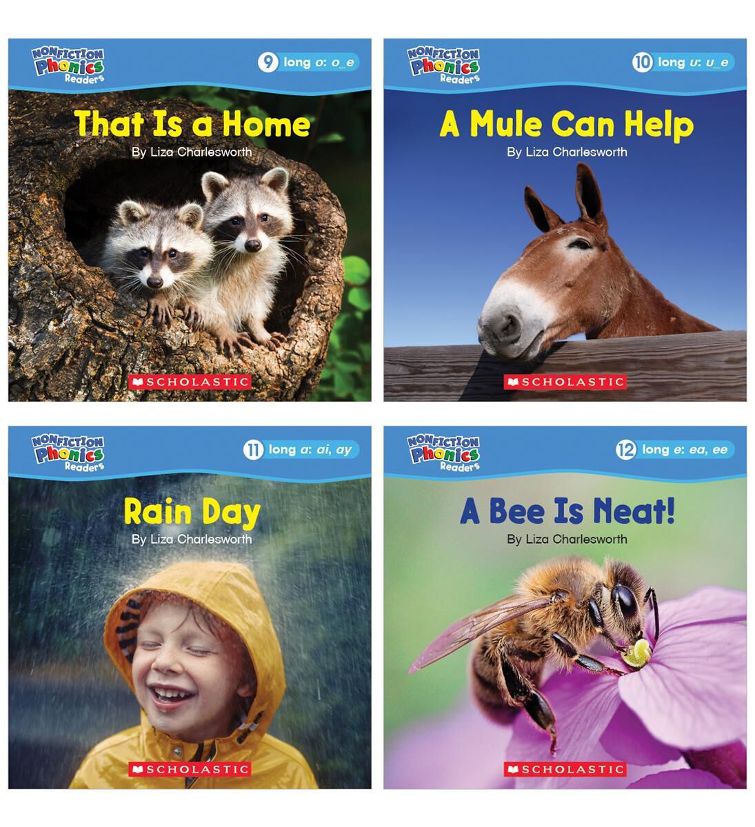 Thumbnail 4 Nonfiction Phonics Readers Set 2: Long Vowels, Digraphs &amp; More 