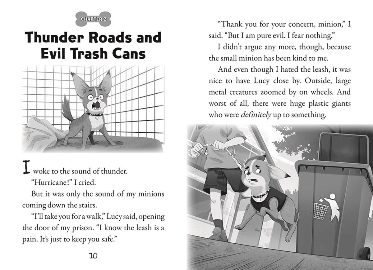 Pets Rule #1-#5 Pack | Scholastic Canada Book Clubs