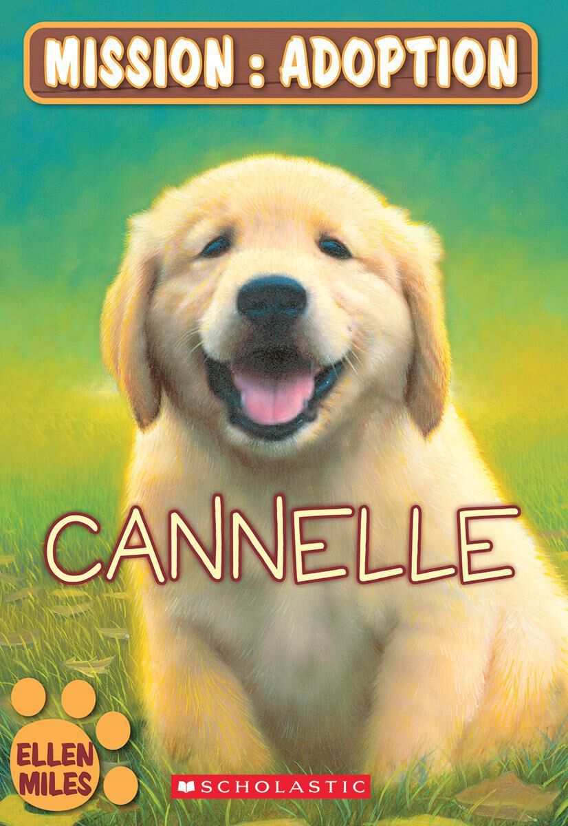 Thumbnail 2Biblioth&egrave;que de classe 3e ann&eacute;e et plus