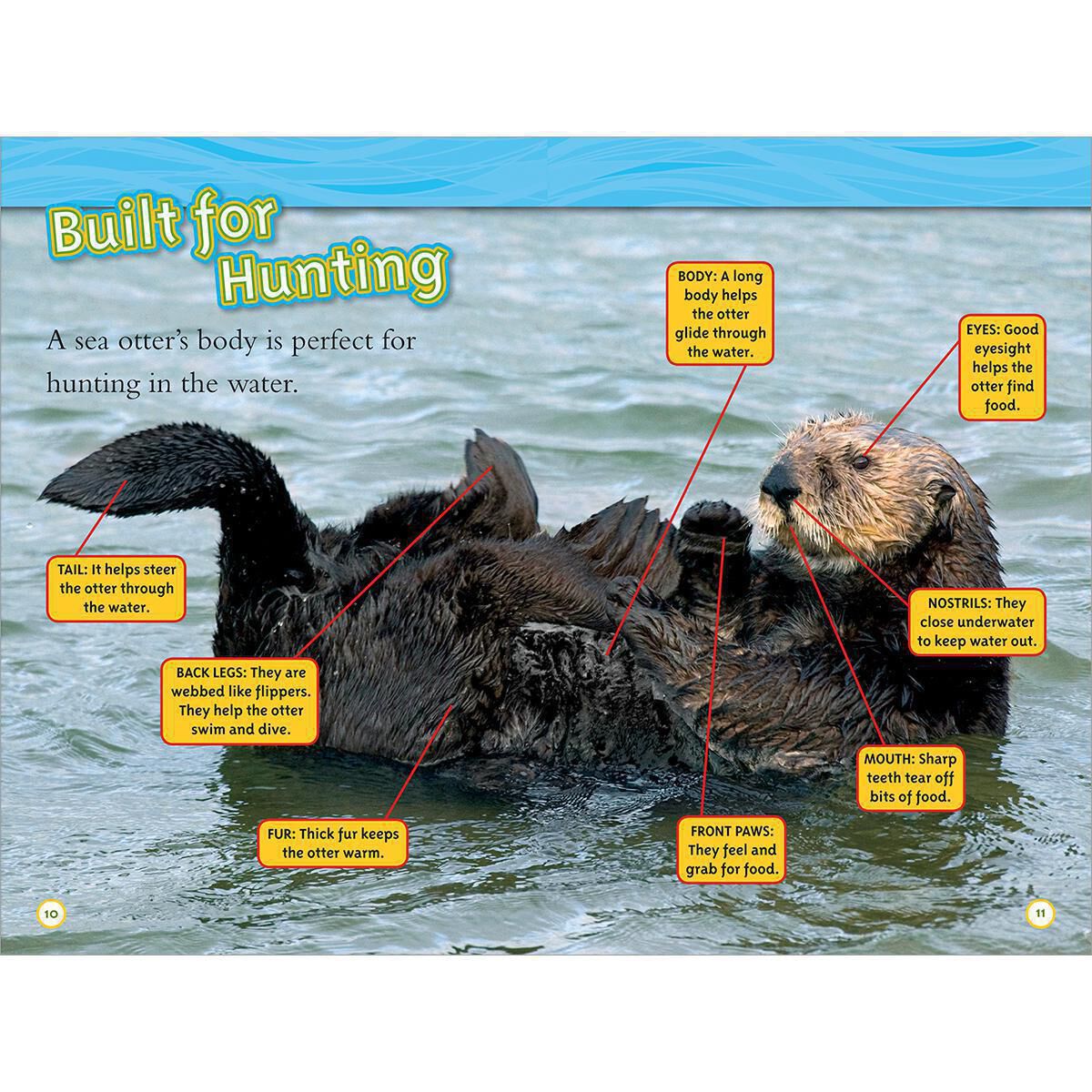 Thumbnail 3National Geographic Kids: Fact Attack 12-Pack