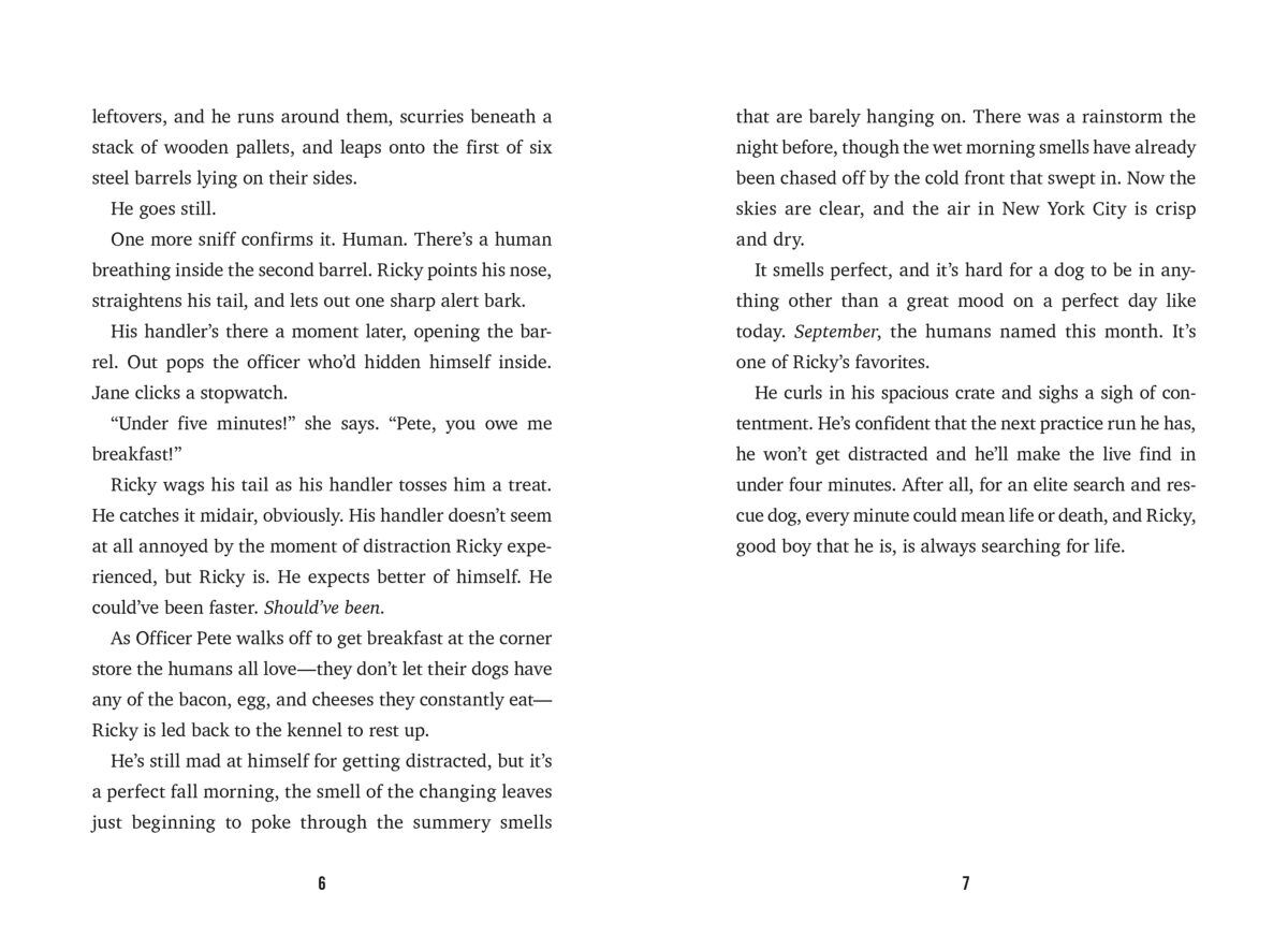 Thumbnail 3 Search and Rescue #2: Surviving Ground Zero 