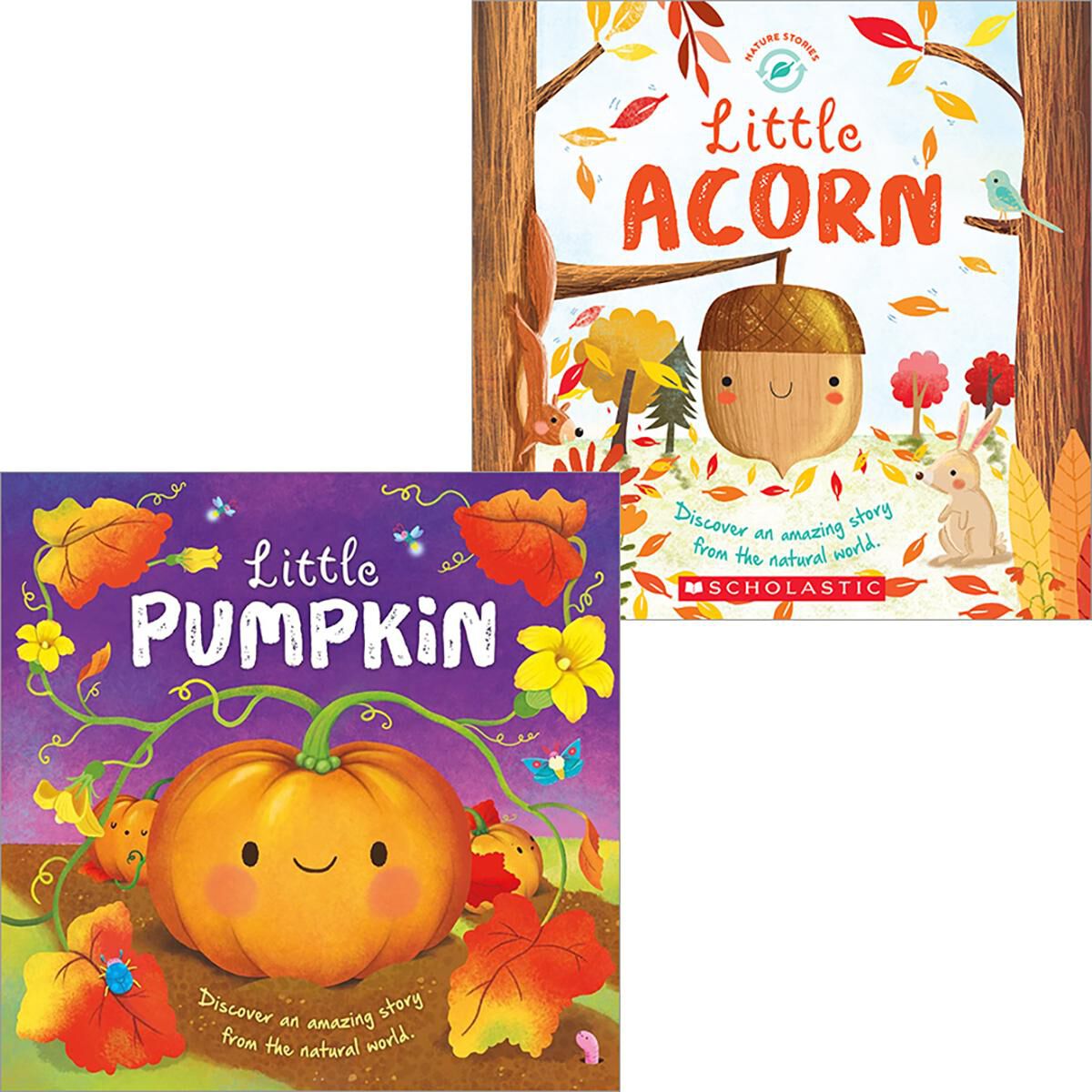  Pumpkin and Acorn Lifecycle 2-Pack 