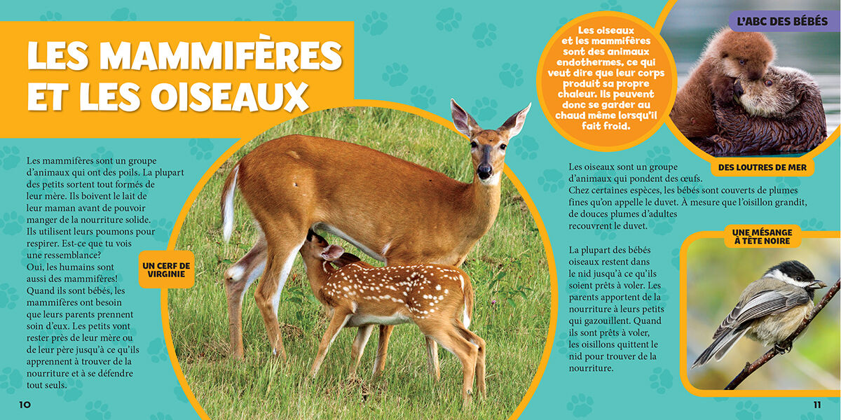 Thumbnail 2 National Geographic Kids: Mon grand livre de b&eacute;b&eacute;s animaux 