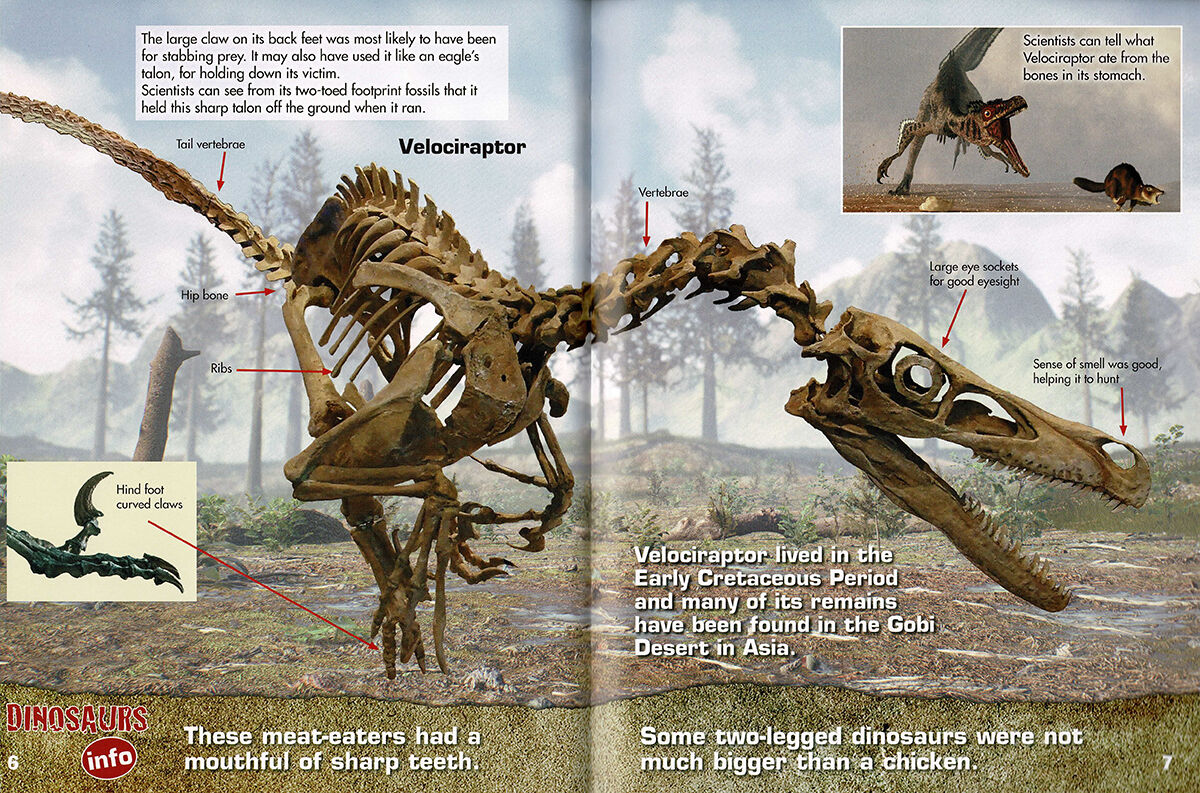 Thumbnail 3 Dinosaurs 