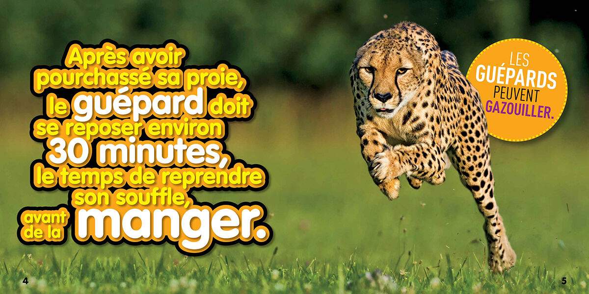 Thumbnail 2National Geographic Kids : Bizarre mais vrai! Les animaux