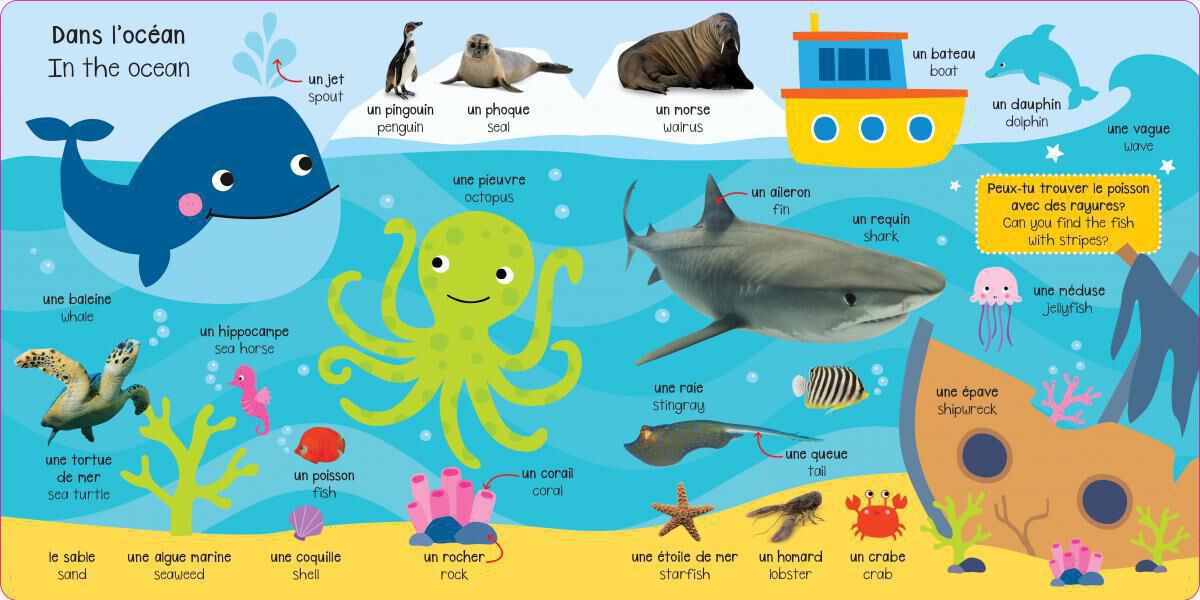 Thumbnail 2Scholastic: 500 French-English Words