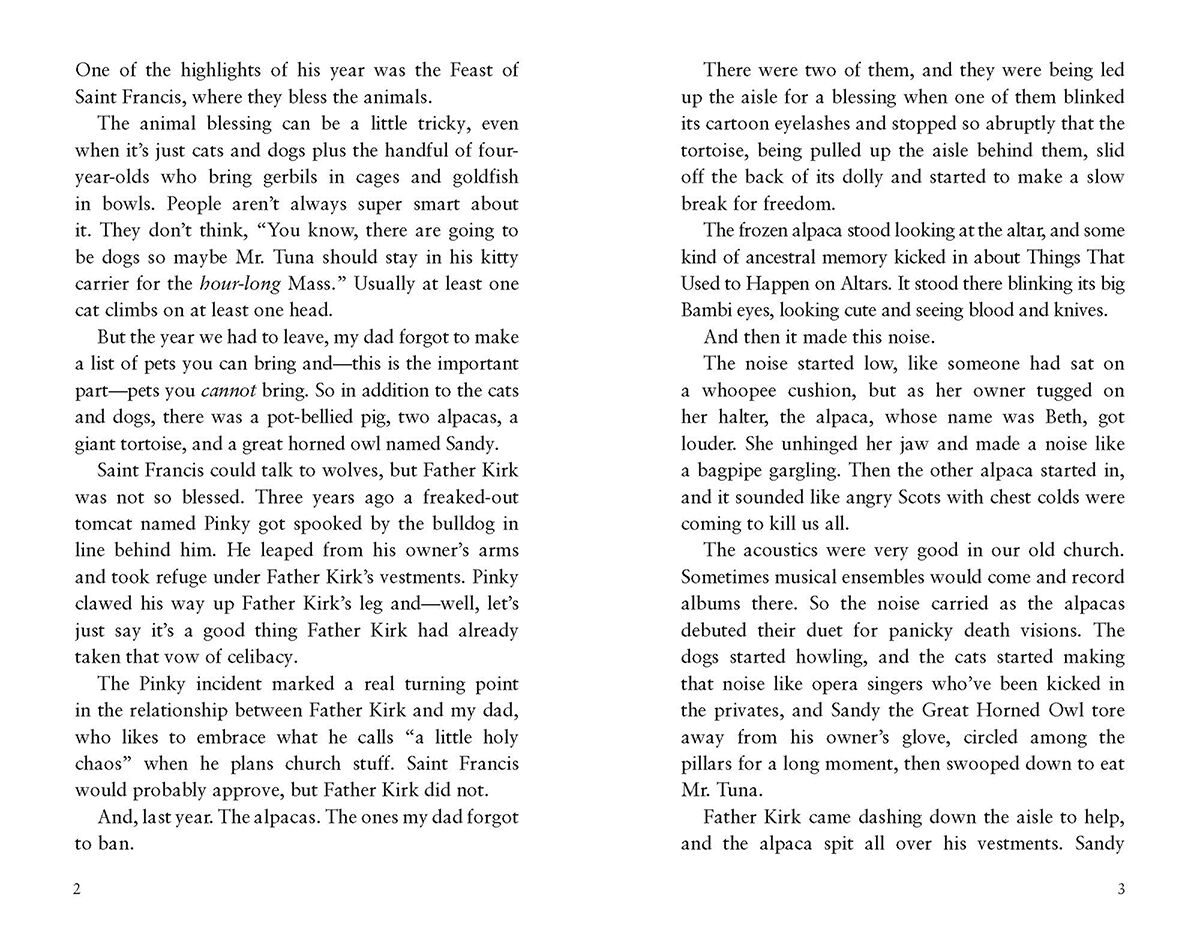 Thumbnail 3 Simon Sort of Says 