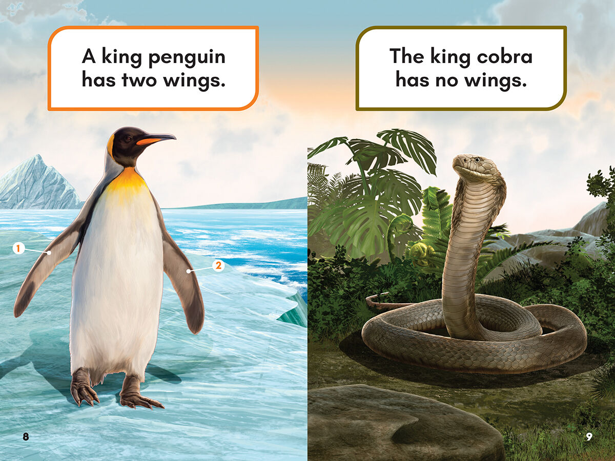 Thumbnail 4What Would You Rather Be? A King Penguin or a King Cobra
