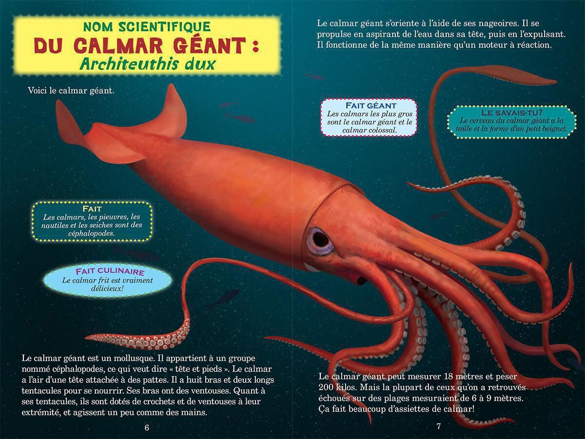 Thumbnail 3 Qui va gagner? : Le grand cachalot ou le calmar g&eacute;ant? 