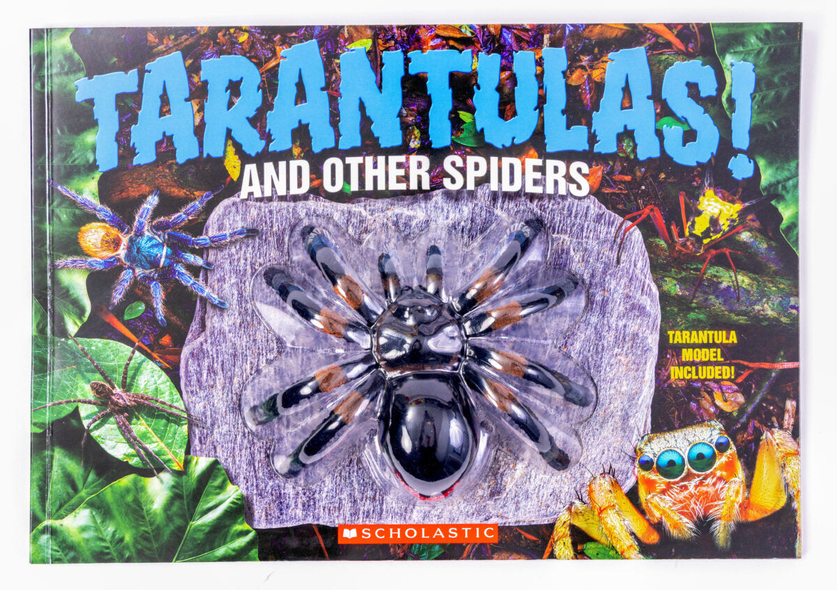  Tarantulas! And Other Spiders 