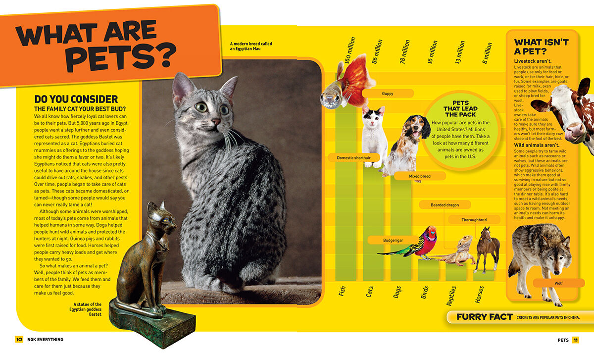 Thumbnail 4National Geographic Kids&trade;: Everything Pets