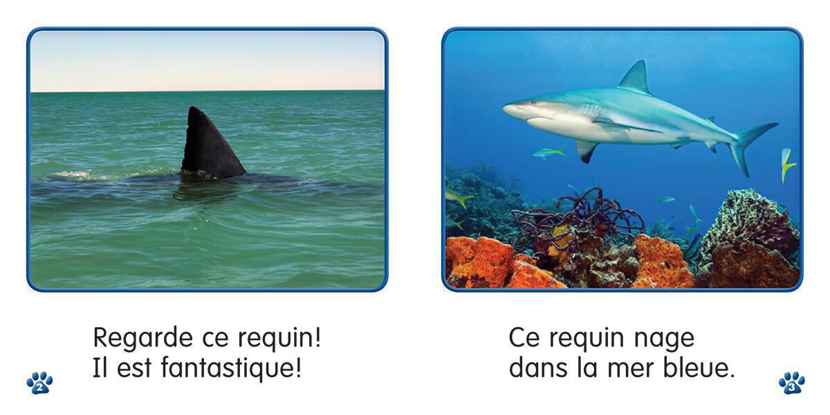 Thumbnail 3 Collection Je lis! Animaux - S&eacute;rie 1 