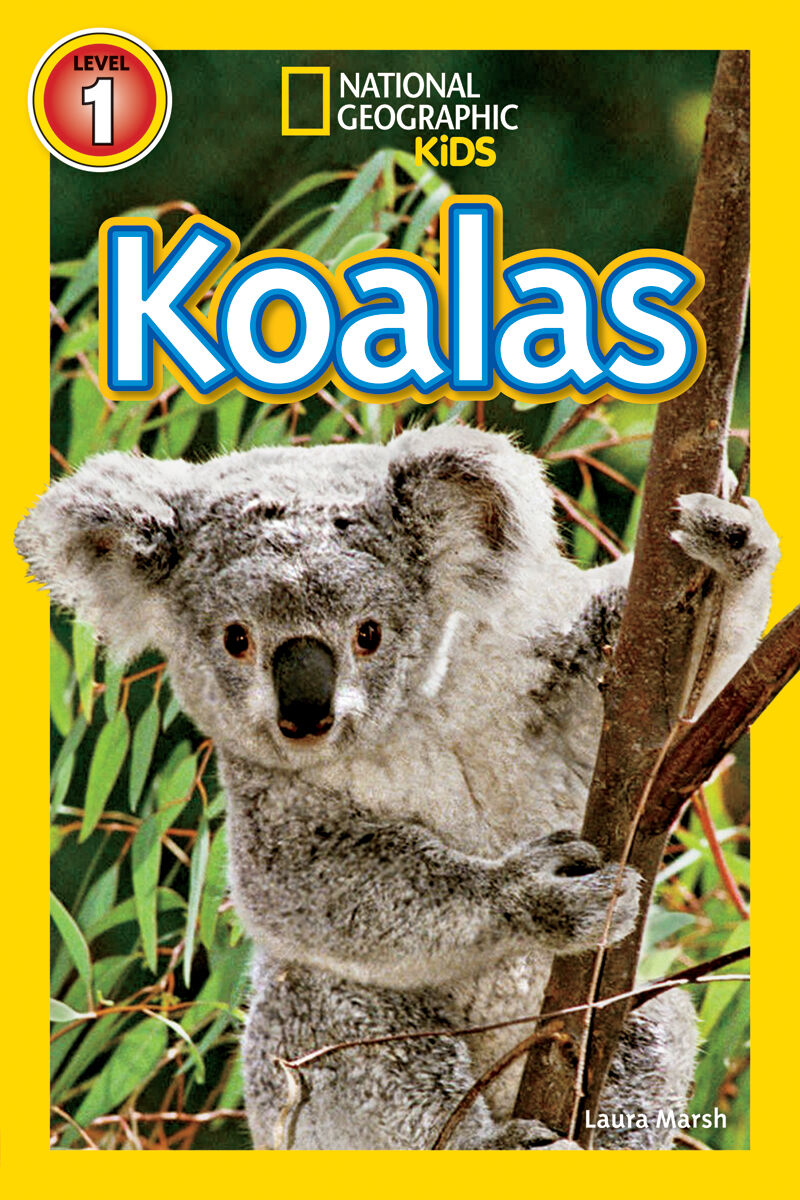 Thumbnail 4National Geographic Kids: Cute Trendy Animal 5 Pack